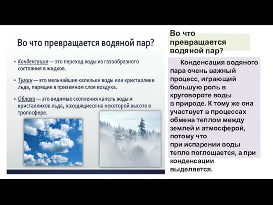 Во что превращается водяной пар? Конденсация водяного пара очень важный процесс, играющий