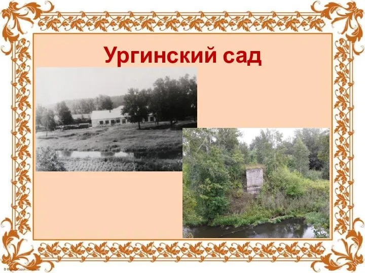 Ургинский сад