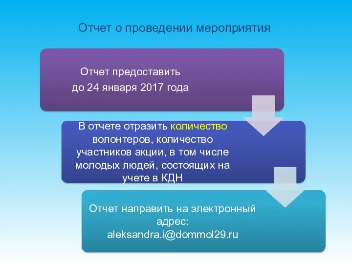 Отчет о проведении мероприятия