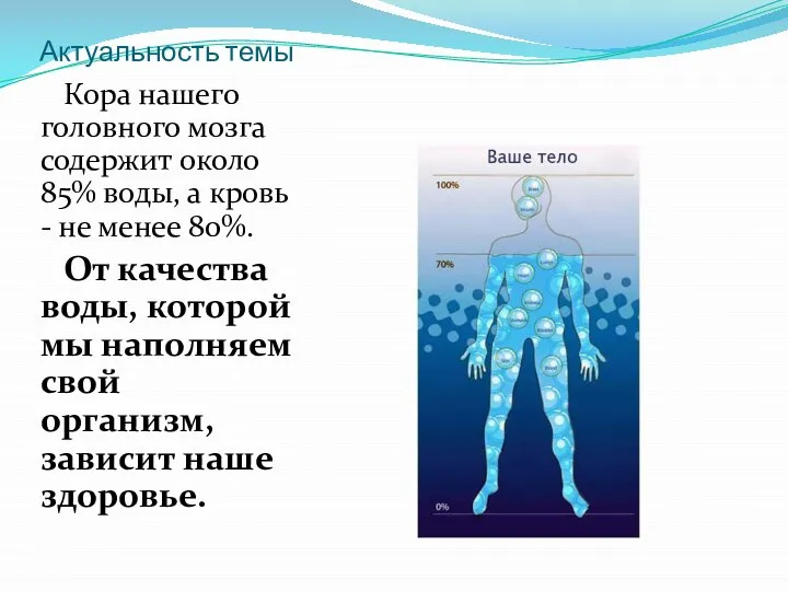 Актуальность темы Кора нашего головного мозга содержит около 85% воды, а кровь