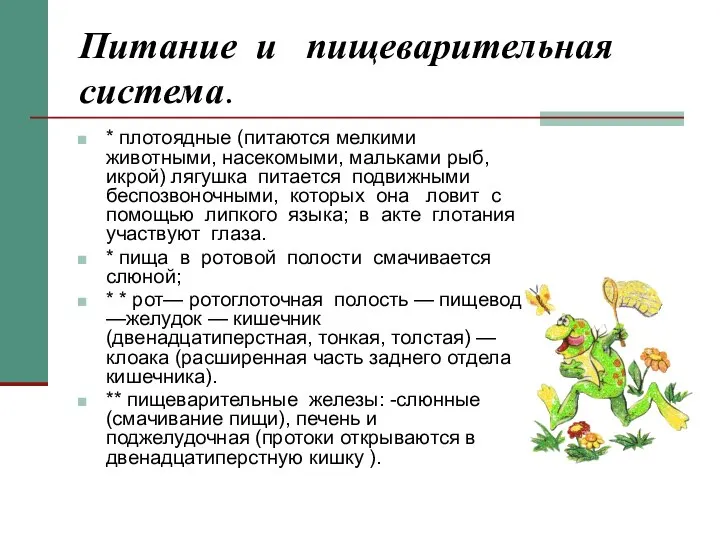 Питание и пищеварительная система. * плотоядные (питаются мелкими животными, насекомыми, мальками рыб,