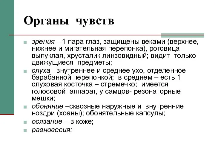 Органы чувств зрения—1 пара глаз, защищены веками (верхнее, нижнее и мигательная перепонка),