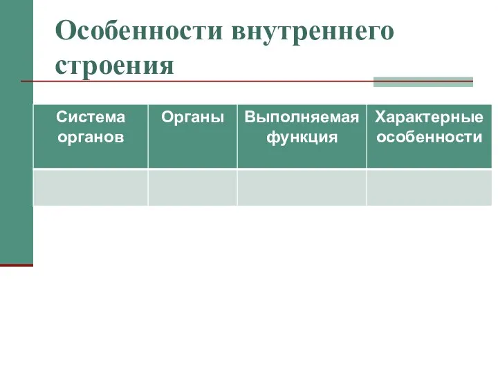 Особенности внутреннего строения