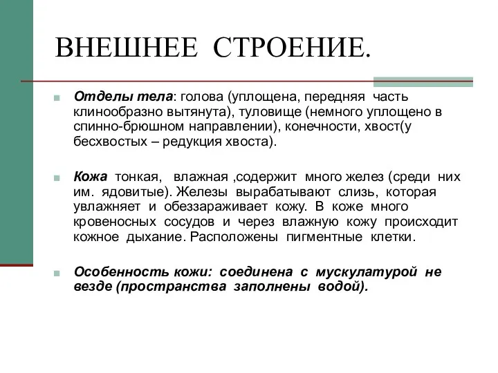 ВНЕШНЕЕ СТРОЕНИЕ. Отделы тела: голова (уплощена, передняя часть клинообразно вытянута), туловище (немного