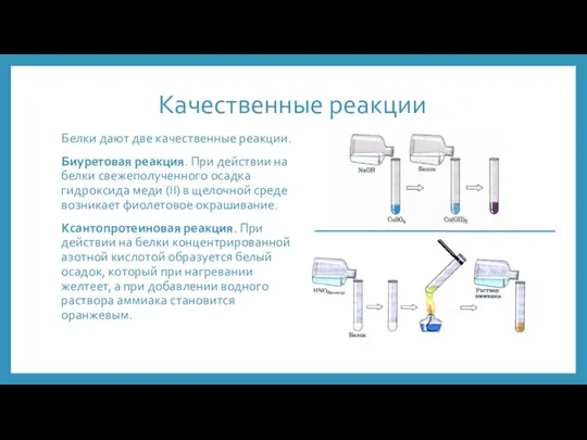 Качественные реакции Белки дают две качественные реакции. Биуретовая реакция. При действии на