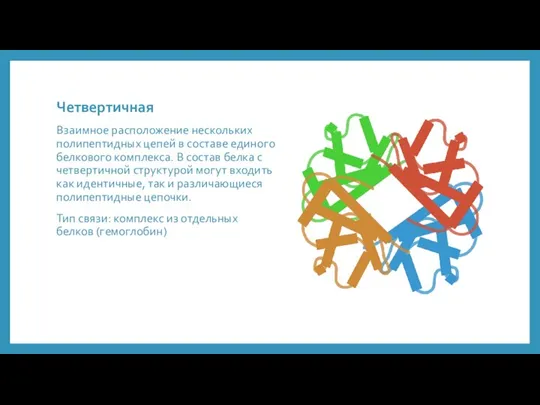 Четвертичная Взаимное расположение нескольких полипептидных цепей в составе единого белкового комплекса. В