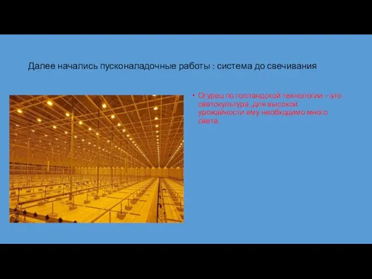 Далее начались пусконаладочные работы : система до свечивания Огурец по голландской технологии