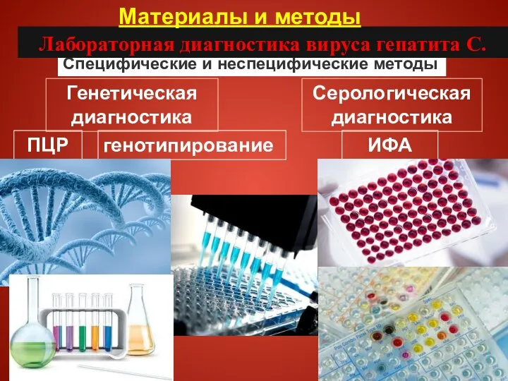 Специфические и неспецифические методы Лабораторная диагностика вируса гепатита С. Генетическая диагностика Серологическая