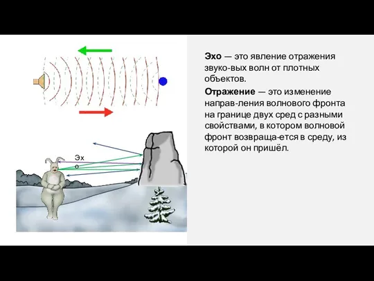 Эхо — это явление отражения звуко-вых волн от плотных объектов. Отражение —