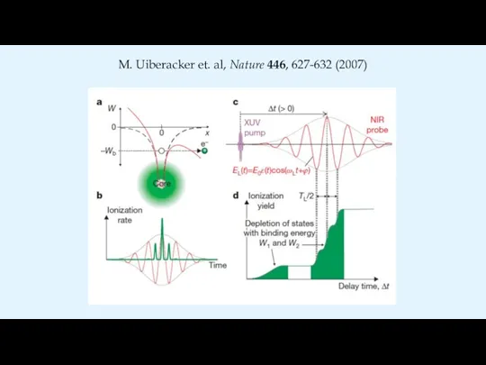 M. Uiberacker et. al, Nature 446, 627-632 (2007)