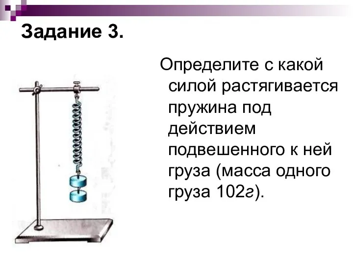 Задание 3. Определите с какой силой растягивается пружина под действием подвешенного к