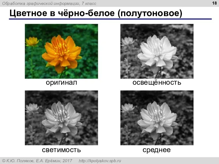 Цветное в чёрно-белое (полутоновое) оригинал освещённость светимость среднее