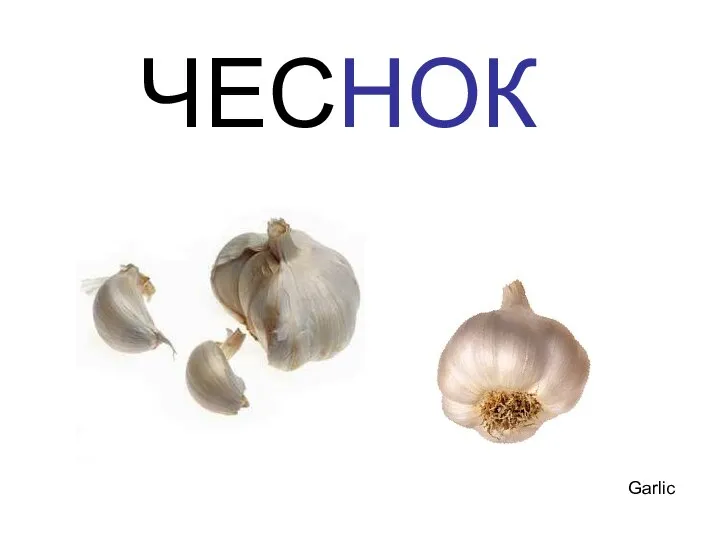 ЧЕСНОК Garlic Чеснок garlic