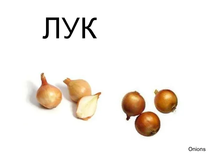 ЛУК Onions Лук onions