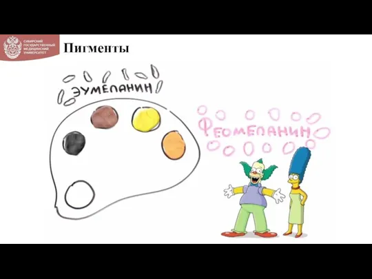 Пигменты