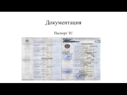 Документация Паспорт ТС