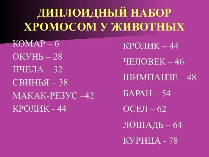 ДИПЛОИДНЫЙ НАБОР ХРОМОСОМ У ЖИВОТНЫХ КОМАР – 6 ОКУНЬ – 28 ПЧЕЛА