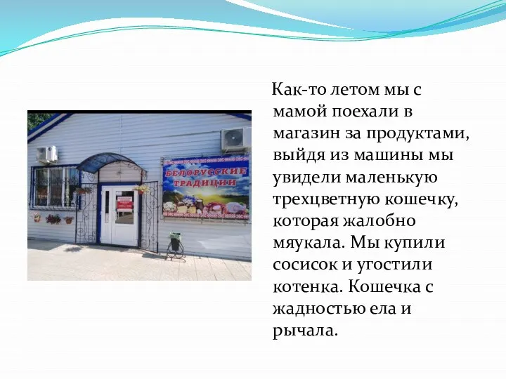 Как-то летом мы с мамой поехали в магазин за продуктами, выйдя из