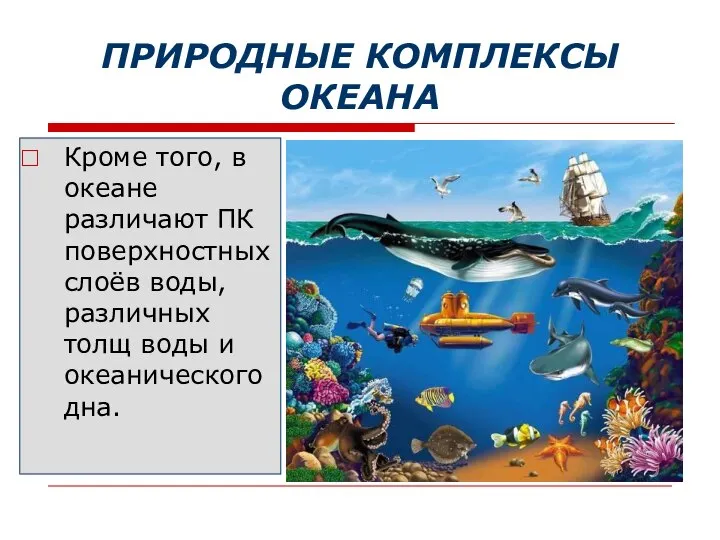 ПРИРОДНЫЕ КОМПЛЕКСЫ ОКЕАНА Кроме того, в океане различают ПК поверхностных слоёв воды,