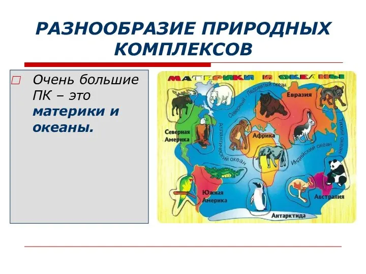 РАЗНООБРАЗИЕ ПРИРОДНЫХ КОМПЛЕКСОВ Очень большие ПК – это материки и океаны.