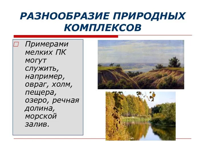 РАЗНООБРАЗИЕ ПРИРОДНЫХ КОМПЛЕКСОВ Примерами мелких ПК могут служить, например, овраг, холм, пещера,