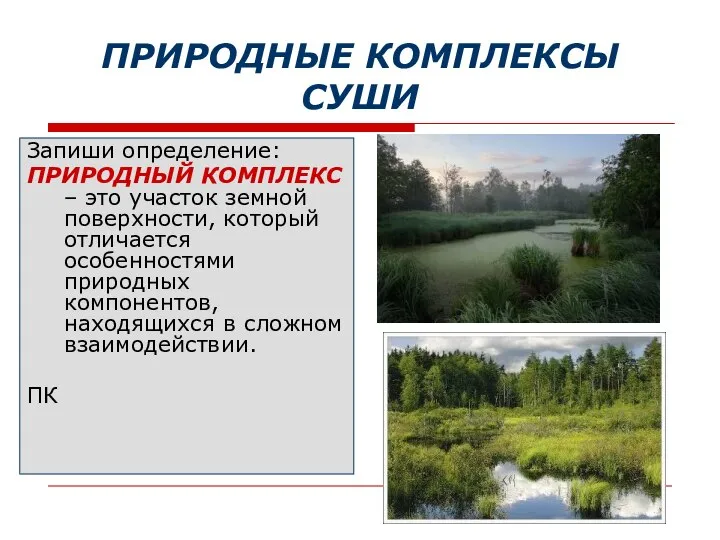 ПРИРОДНЫЕ КОМПЛЕКСЫ СУШИ Запиши определение: ПРИРОДНЫЙ КОМПЛЕКС – это участок земной поверхности,