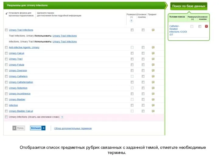 Отобразится список предметных рубрик связанных с заданной темой, отметьте необходимые термины.