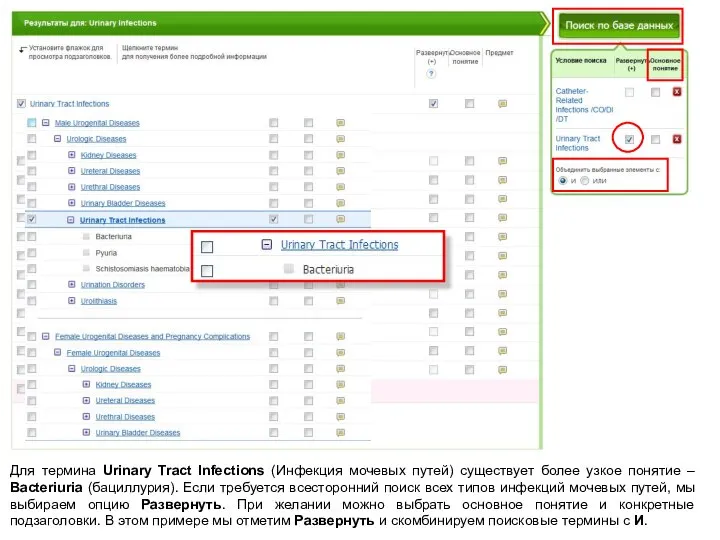 Для термина Urinary Tract Infections (Инфекция мочевых путей) существует более узкое понятие