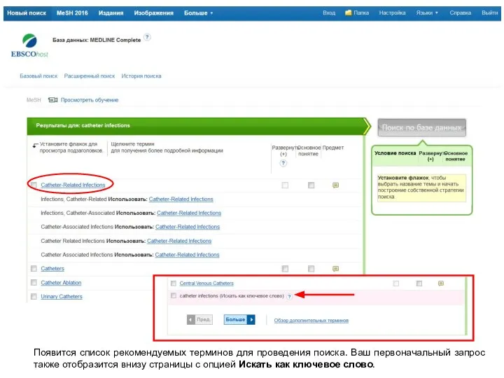 Появится список рекомендуемых терминов для проведения поиска. Ваш первоначальный запрос также отобразится