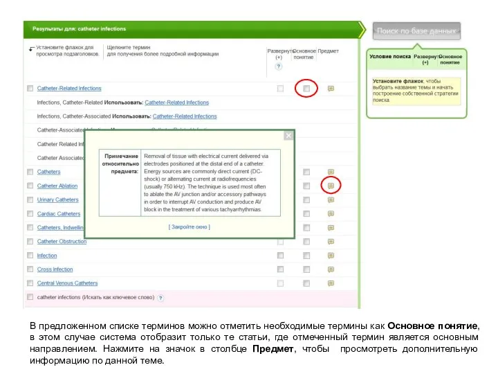 В предложенном списке терминов можно отметить необходимые термины как Основное понятие, в