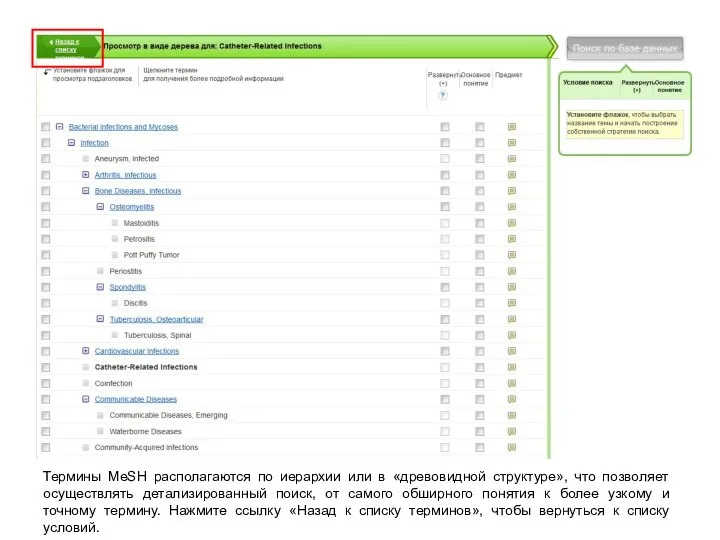 Термины MeSH располагаются по иерархии или в «древовидной структуре», что позволяет осуществлять