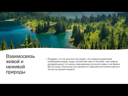 Взаимосвязь живой и неживой природы Я думаю, что не для кого не