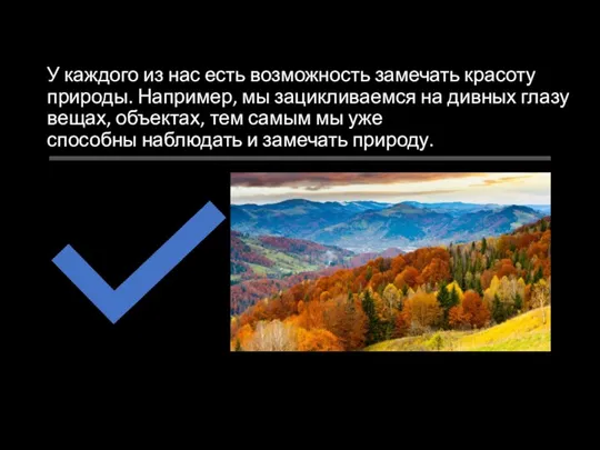 У каждого из нас есть возможность замечать красоту природы. Например, мы зацикливаемся