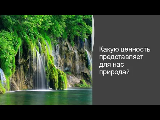 Какую ценность представляет для нас природа?