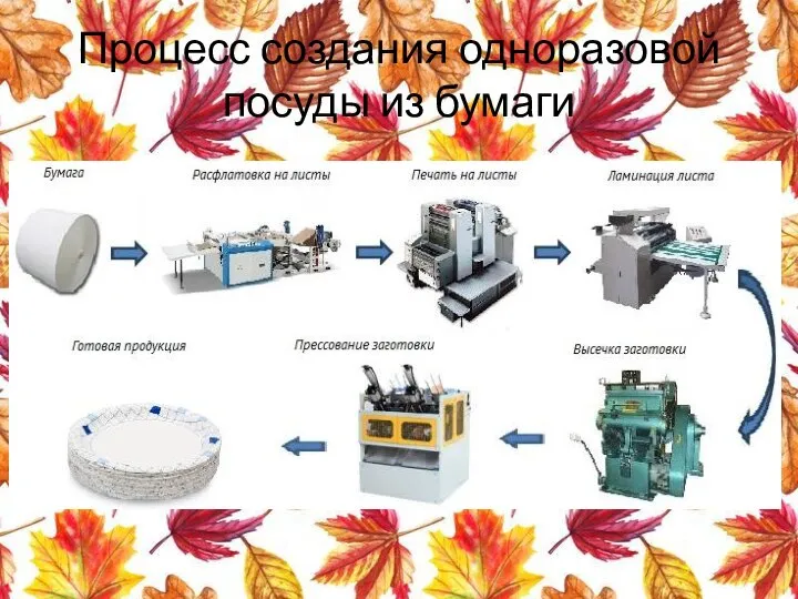 Процесс создания одноразовой посуды из бумаги