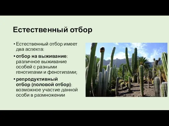 Естественный отбор Естественный отбор имеет два аспекта: отбор на выживание: различное выживание