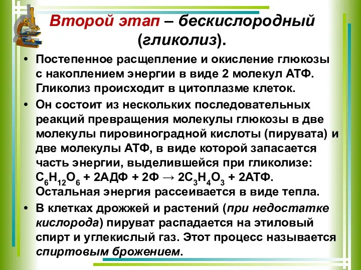 Второй этап – бескислородный (гликолиз). Постепенное расщепление и окисление глюкозы с накоплением