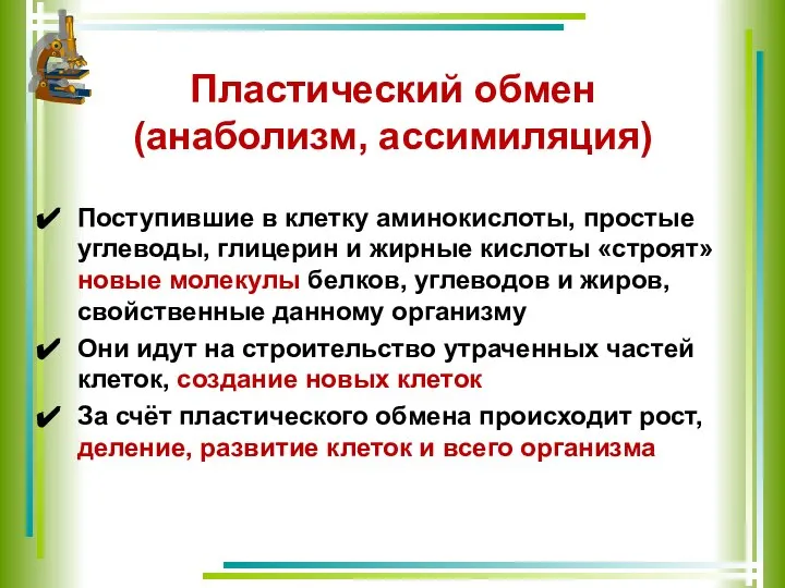 Пластический обмен (анаболизм, ассимиляция) Поступившие в клетку аминокислоты, простые углеводы, глицерин и