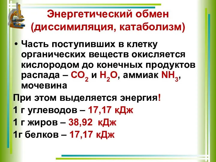 Энергетический обмен (диссимиляция, катаболизм) Часть поступивших в клетку органических веществ окисляется кислородом