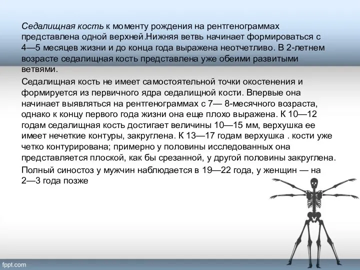 Седалищная кость к моменту рождения на рентгенограммах представлена одной верхней.Нижняя ветвь начинает