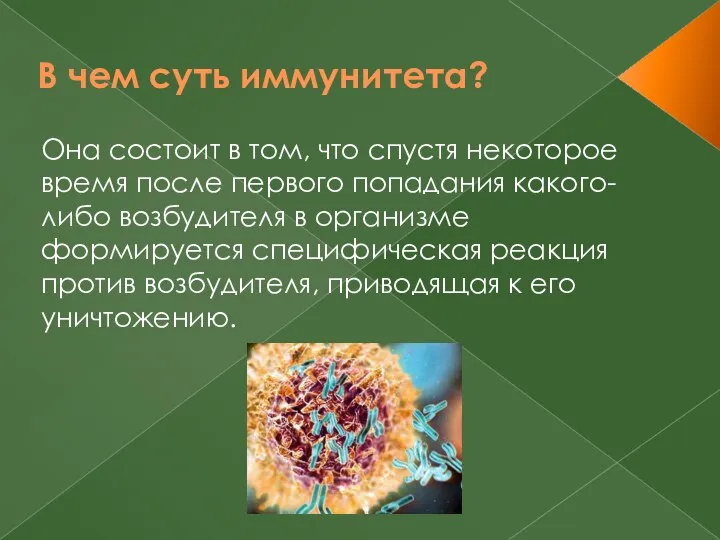 В чем суть иммунитета? Она состоит в том, что спустя некоторое время