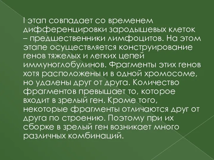 I этап совпадает со временем дифференцировки зародышевых клеток – предшественники лимфоцитов. На