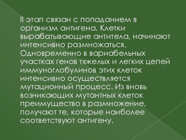 II этап связан с попаданием в организм антигена. Клетки вырабатывающие антитела, начинают