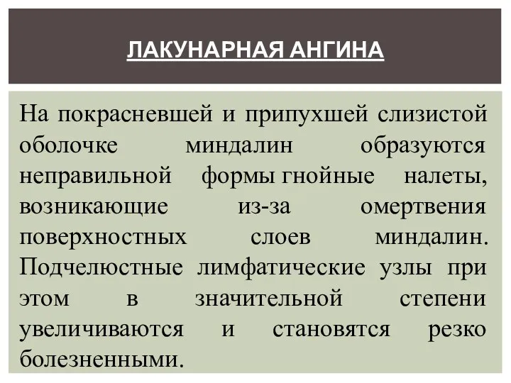 ЛАКУНАРНАЯ АНГИНА На покрасневшей и припухшей слизистой оболочке миндалин образуются неправильной формы