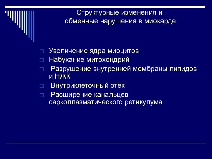 Структурные изменения и обменные нарушения в миокарде Увеличение ядра миоцитов Набухание митохондрий