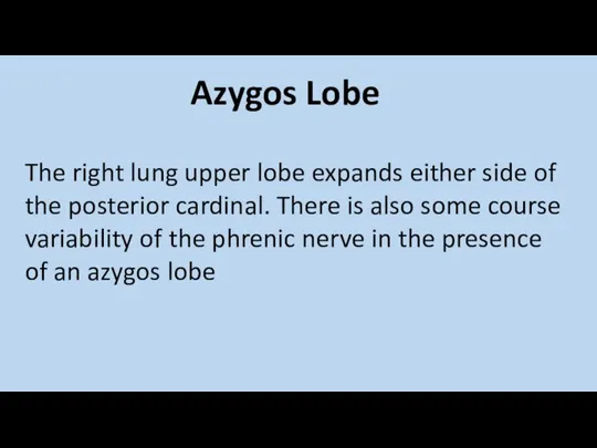Azygos Lobe The right lung upper lobe expands either side of the