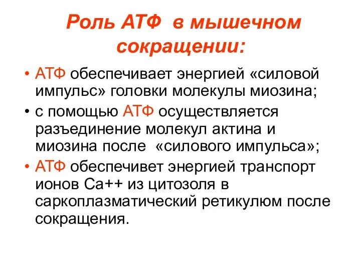 Роль АТФ в мышечном сокращении: АТФ обеспечивает энергией «силовой импульс» головки молекулы