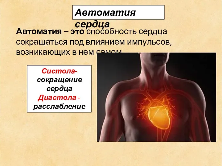 Автоматия сердца Автоматия – это способность сердца сокращаться под влиянием импульсов, возникающих