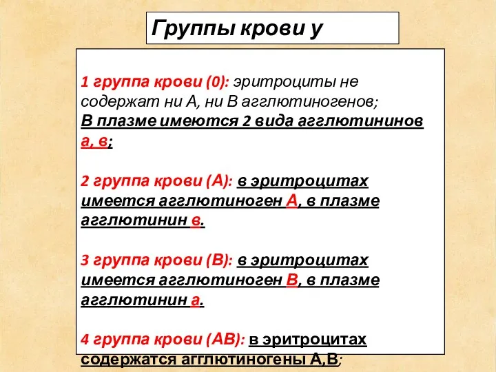 Группы крови у человека 1 группа крови (0): эритроциты не содержат ни