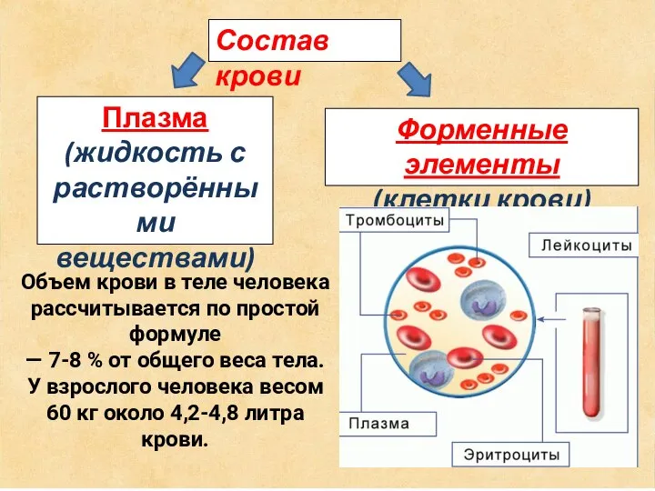 Состав крови Плазма (жидкость с растворёнными веществами) Форменные элементы (клетки крови) Объем